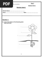 4461AssignmentsYear 3 Revision Sheet 1