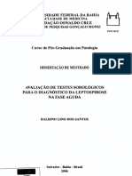 Balbino Lino Dos Santos Avaliação... 2006