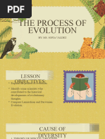 11 The Process of Evolution