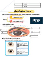 LKPD Ipas - Bab 2-Bagian Mata