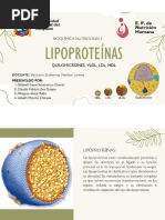 Lipoproteínas 