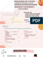 Metabolismo de Acilgliceroles y Esfingolipidos