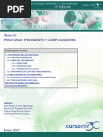 Tema 13 Fracturas Tratamiento Residentes