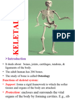 Skeletal System