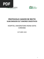 Protocolo Cancer Recto