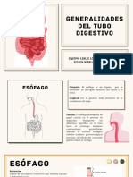 Generalidades Del Tubo Digestivo