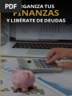 Organiza Tus Finanzas y Sal de Deudas