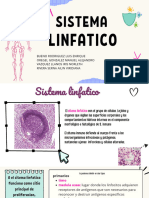 Exposición Histológica Sobre El S. Linfatico