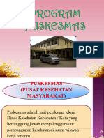 Program Puskesmas