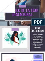 Calculo Edad Gestacional