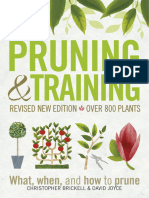 Pruning and Training What, When, and How To Prune - 240124 - 212732