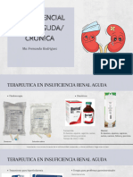 Insuficiencia Renal - 20231009 - 065643 - 0000