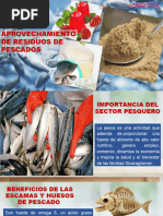 Aprovechamiento de Residuos de Pescado Dgavc 17.01.2024