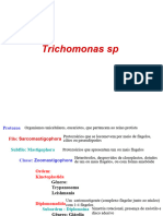 Trichomonas Todos