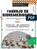 Informe Contaminación de Suelos Salinos - Sechura (Universidad Nacional de Piura