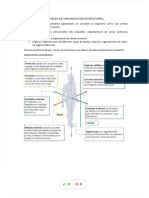 Anatomiasi Resumen Anatomia Pregrado 2022 - Compress