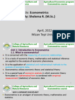 Econometrics MTU