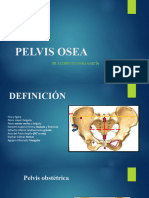 Pelvis Osea