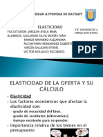 Elasticidad