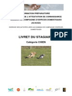 Livret Stagiaire Chien