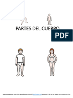 Partes Del Cuerpo0 Funciones