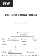 Other Human Sporozoal Infections