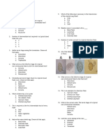 Trematode Lec Quiz