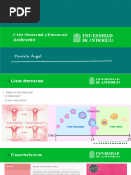 Ciclo Menstrual 