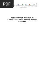 Relatório de Aula Prática - Avaliação Nutricional Aplicada