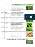 Plantas Medicinales Ppe