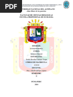 Informe Quimica Estequiometria