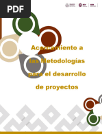 Acercamiento A Las Metodologías para El Desarrollo de Proyectos