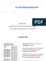 Lecture 8 - 2023 - Ribozymes and Deoxyribozymes