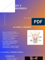 Tiroides y Antitiroideos