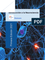 Introducción A La Neurociencia - Brainware