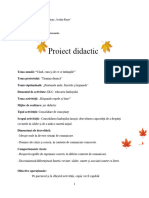 Proiect Didactic