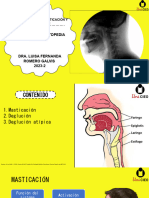 Seminario Fisiologia de Masticación y Deglución