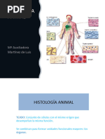 Histologia Animal