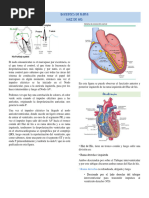 Bloqueos de Rama y Hemibloqueos