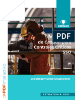 Manual de Gestión para Controles Críticos SSO