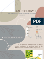 Importance of Chlorophyll