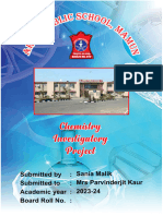 Army Public School Mamun Project File