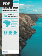 ANA-Comitê Da Bacia Hidrográfica - o Que É e o Que Faz