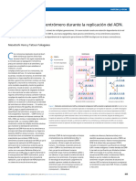 6 Mantenimiento Del Centrómero en La Replicación Del ADN