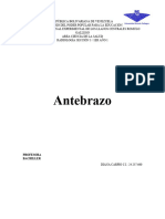 Anatomia Del Codo