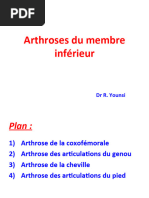 Arthrose Membres Inf