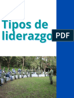 Tipos de Liderazgo