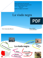 Presentación La Viuda Negra