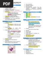 02 Inflammation and Repair