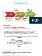 Biochemistry Lecture PPT 11